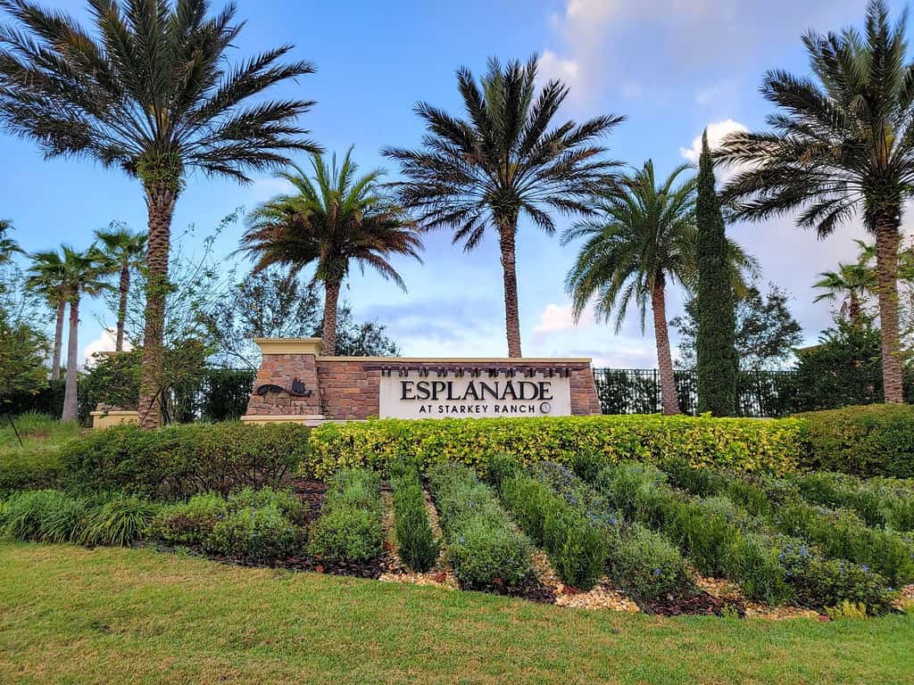 Main Entrance, Esplanade at Starkey Ranch