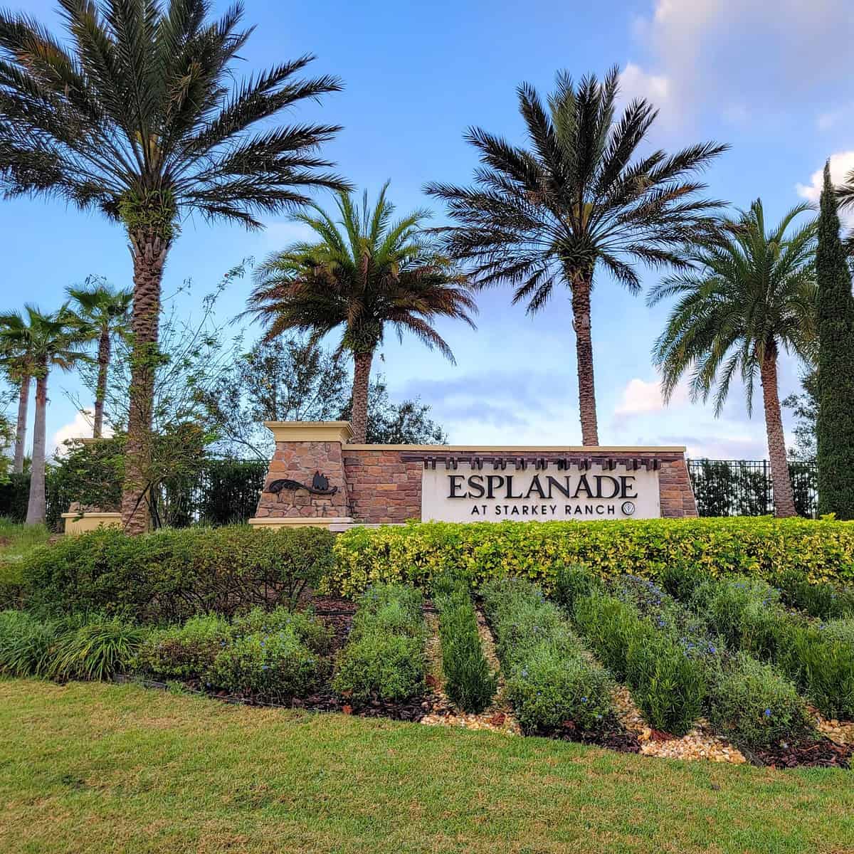 Esplanade At Starkey Ranch - Video Tour