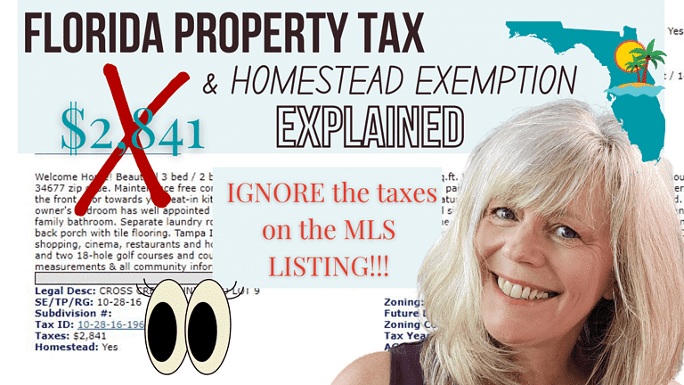 Pasco and Pinellas Property Taxes