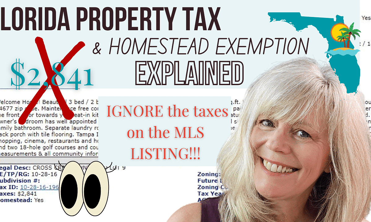 Pasco and Pinellas Property Taxes