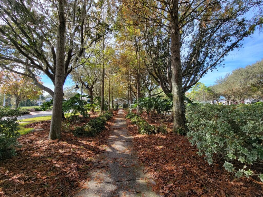 Enjoy nature, in Longleaf, New Port Richey, FL